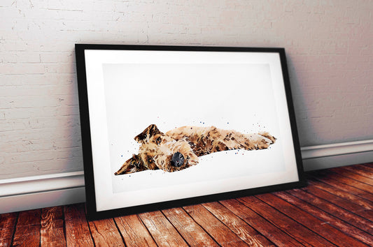 Irish Terrier Passed Out | Dog Art Print | Edswatercolours