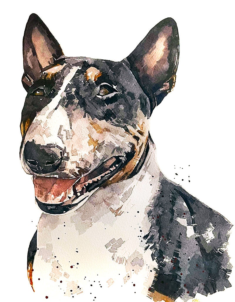 Tri Colour English Bull Terrier  - Watercolour Print.Bull Terrier art,Bull Terrier print,Bull Terrier watercolour,Bull Terrier wall art