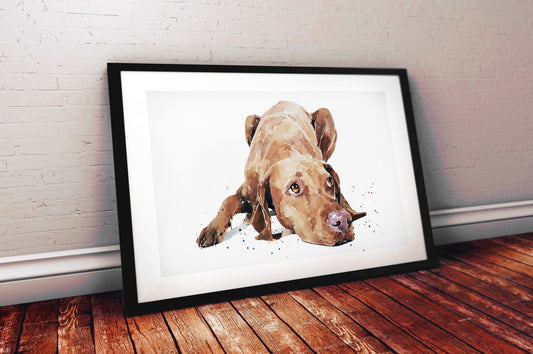 Vizsla III | Original Watercolour | Dog Lover Gift | Edswatercolours