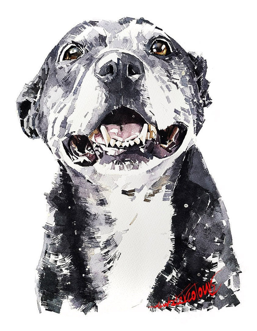 Old Staffordshire Bull Terrier SMILE II -  Watercolour  Print. Staffie Art,Staffie Print,Staffie watercolour,Staffie painting