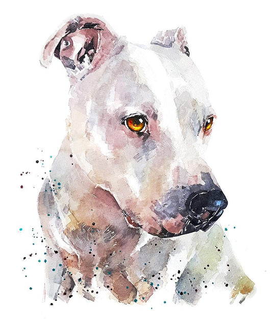 White Staffordshire Bull Terrier - Watercolour Print.White Staffy art,White Staffy print,White Staffie art print,White Staffie watercolour