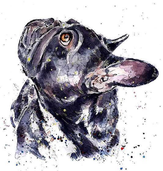 French Bulldog Patiently Waiting | Dog Art Print | Edswatercolours
