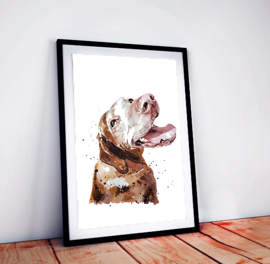 Vizsla - Sugar Face II"  Print Watercolour. Vizsla art,Vizsla print,Vizsla Watercolour,Vizsla Wall Decor, Vizsla Wall Hanging.