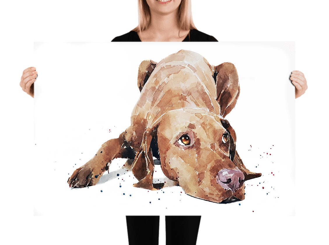 Vizsla - Calm before the Storm"  Print Watercolour. Vizsla art,Vizsla print,Vizsla Watercolour,Vizsla Wall Decor, Vizsla Wall Hanging.