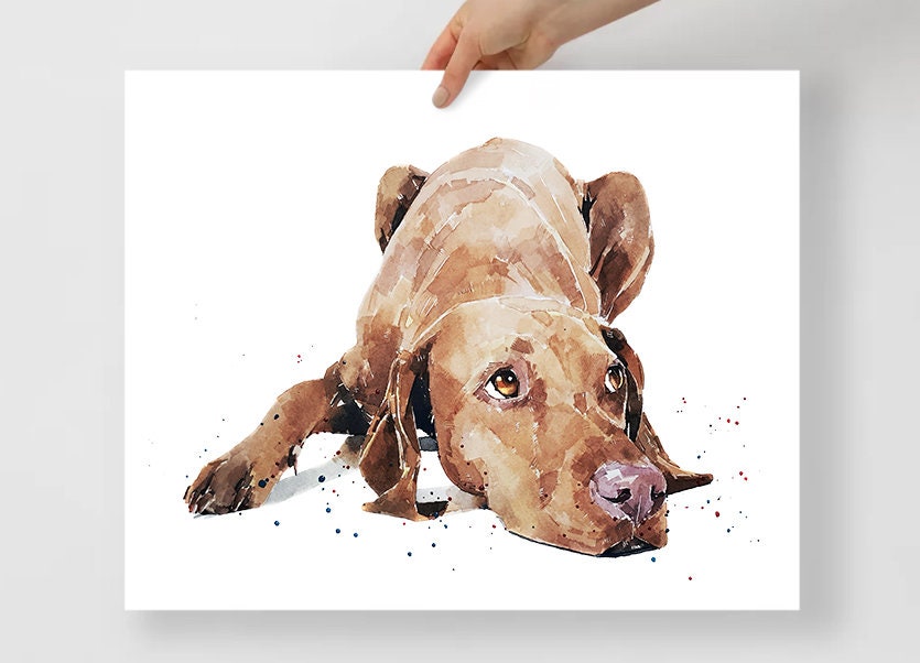 Vizsla - Calm before the Storm"  Print Watercolour. Vizsla art,Vizsla print,Vizsla Watercolour,Vizsla Wall Decor, Vizsla Wall Hanging.