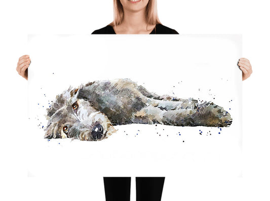 Irish Wolfhound Reclined"Print Watercolour,Irish Wolfhound art,Irish Wolf Houndprint, Irish Wolfhound watercolour, Irish Wolfhound art print