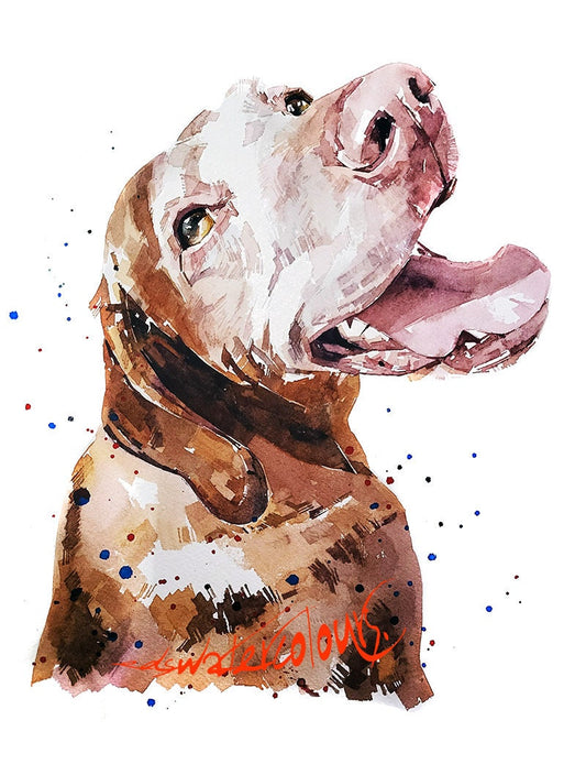 Vizsla - Sugar Face II"  Print Watercolour. Vizsla art,Vizsla print,Vizsla Watercolour,Vizsla Wall Decor, Vizsla Wall Hanging.