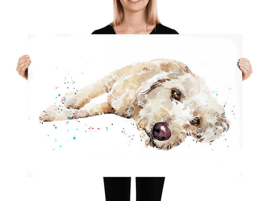 Labradoodle Reclined ." Print Watercolour. Labradoodle watercolor,Labradoodle art print, Labradoodle wall hanging,Labradoodle print.