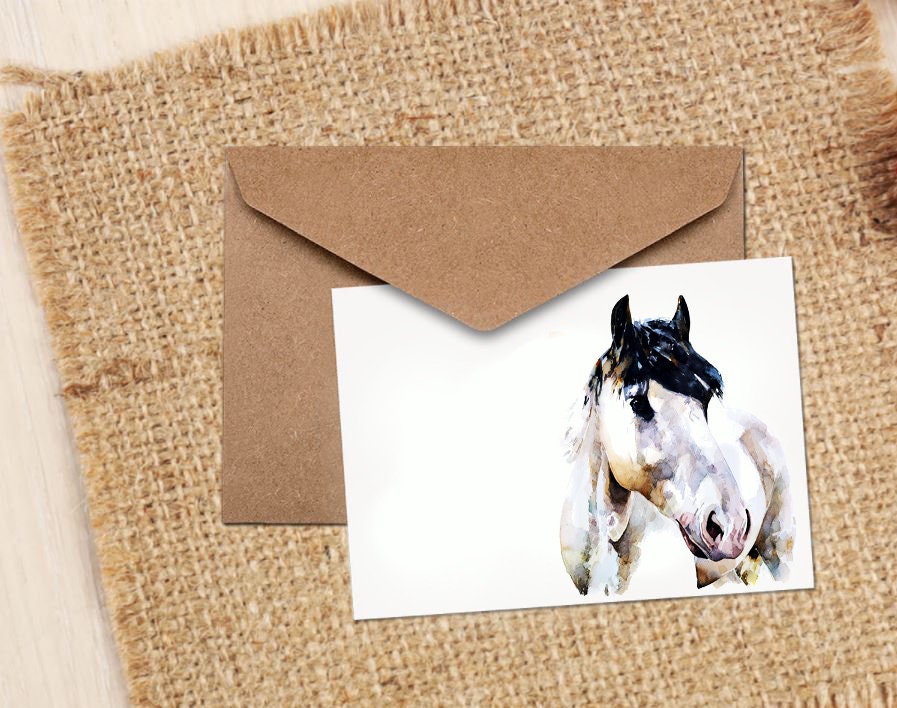 White Horse Greeting Card | Animal Lover Gift | Edswatercolours