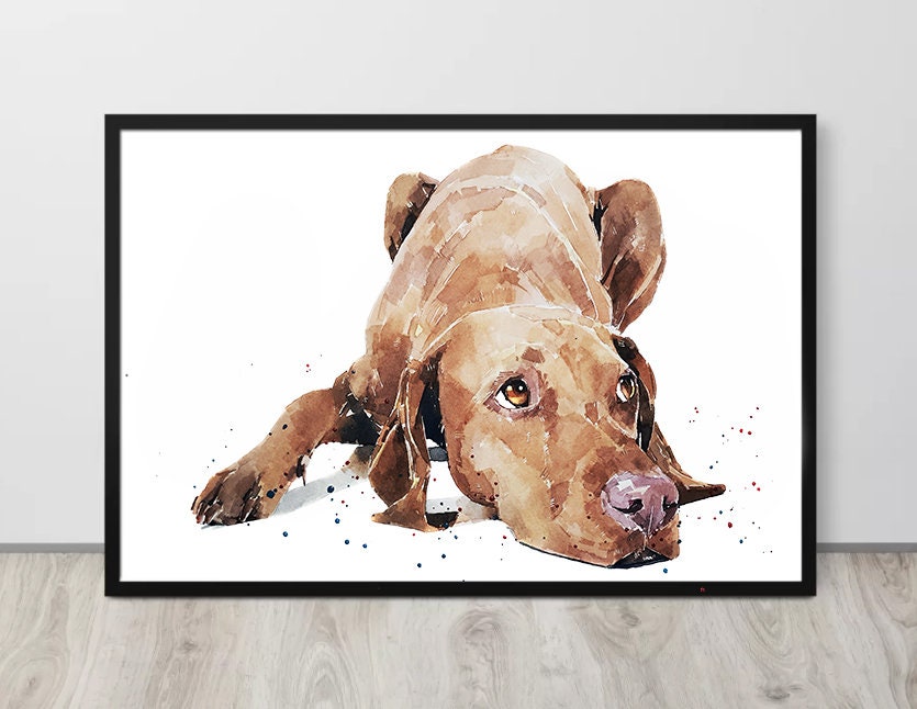 Vizsla - Calm before the Storm"  Print Watercolour. Vizsla art,Vizsla print,Vizsla Watercolour,Vizsla Wall Decor, Vizsla Wall Hanging.