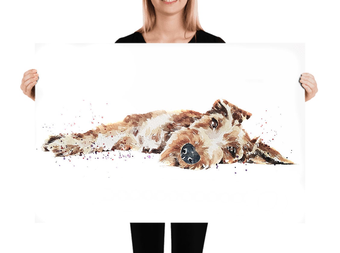 Irish Terrier - passed out" Print Watercolour.Irish Terrier Art,Irish Terrier watercolor,Irish Terrier Wall hanging,Irish Terrier decor