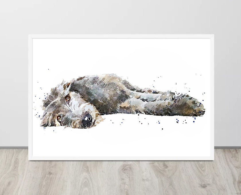Irish Wolfhound Reclined"Print Watercolour,Irish Wolfhound art,Irish Wolf Houndprint, Irish Wolfhound watercolour, Irish Wolfhound art print