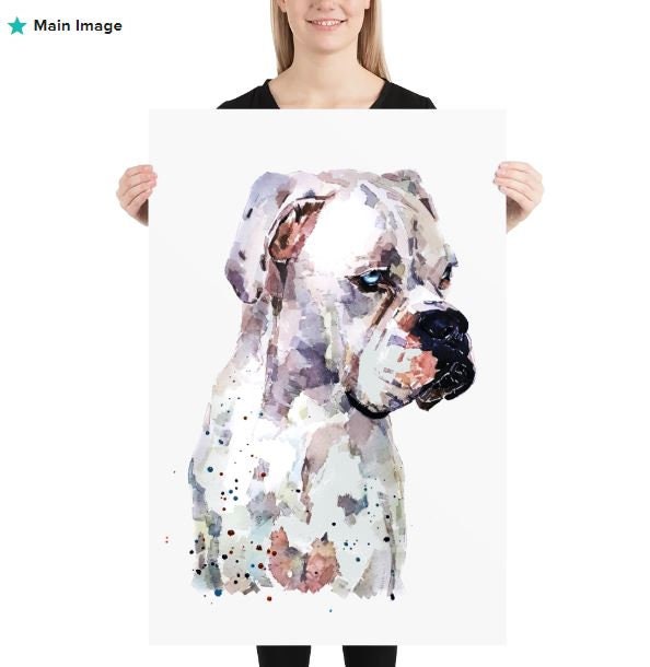 White Boxer Dog -I see right through you -   Print Watercolour,Boxer dog Print,Boxer dog Watercolour,boxer dog art,Boxer dog decor