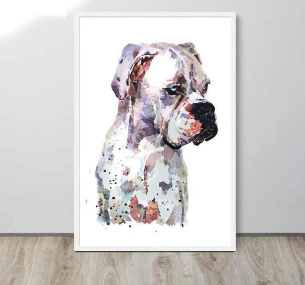 White Boxer Dog -I see right through you -   Print Watercolour,Boxer dog Print,Boxer dog Watercolour,boxer dog art,Boxer dog decor