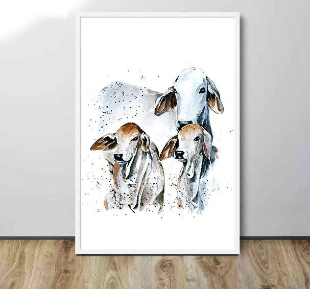 Brahman Cattle | Cow Lover Art Print | Edswatercolours