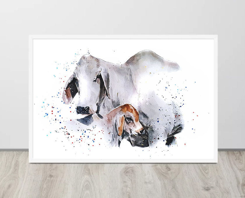 Brahman Cattle II | Cow Lover Art Print | Edswatercolours