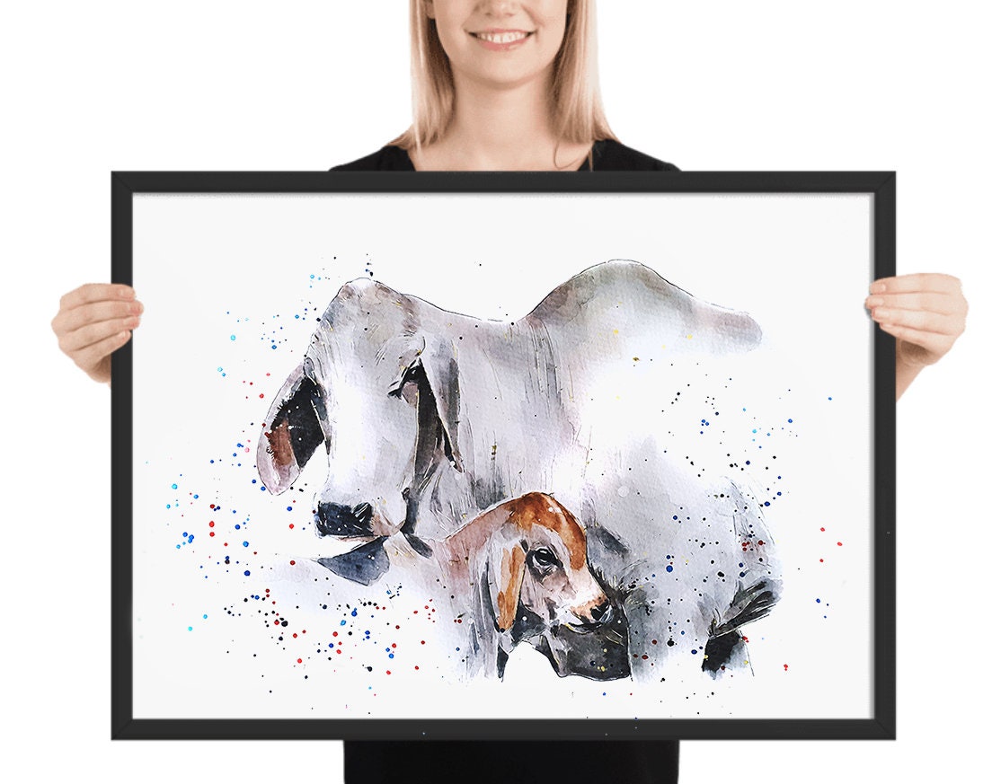Brahman Cattle II | Cow Lover Art Print | Edswatercolours