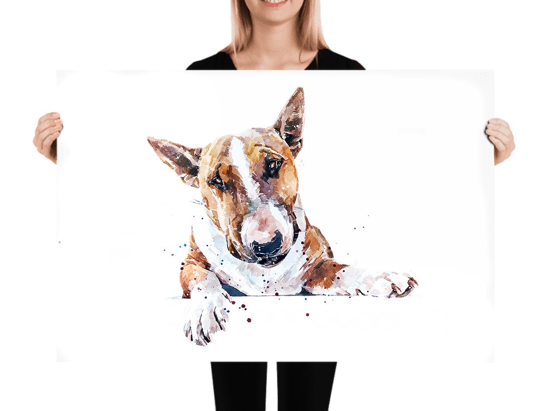 Red and White English Bull Terrier - Watercolour Print.Bull Terrier art,Bull Terrier print,Bull Terrier watercolour,Bull Terrier wall art