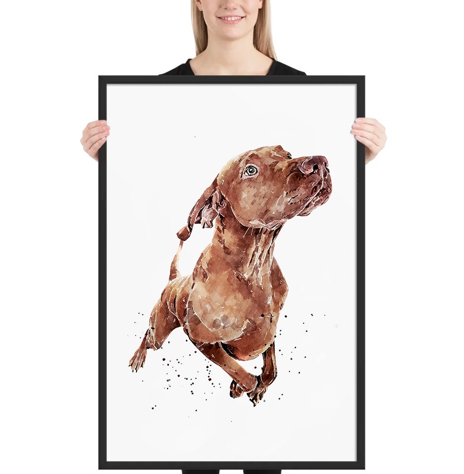 Vizsla - What's cooking?" Print Watercolour.Vizsla art,Vizsla print,Vizsla Watercolour,Vizsla Wall Decor, Vizsla Wall Hanging,Dog Art Print.