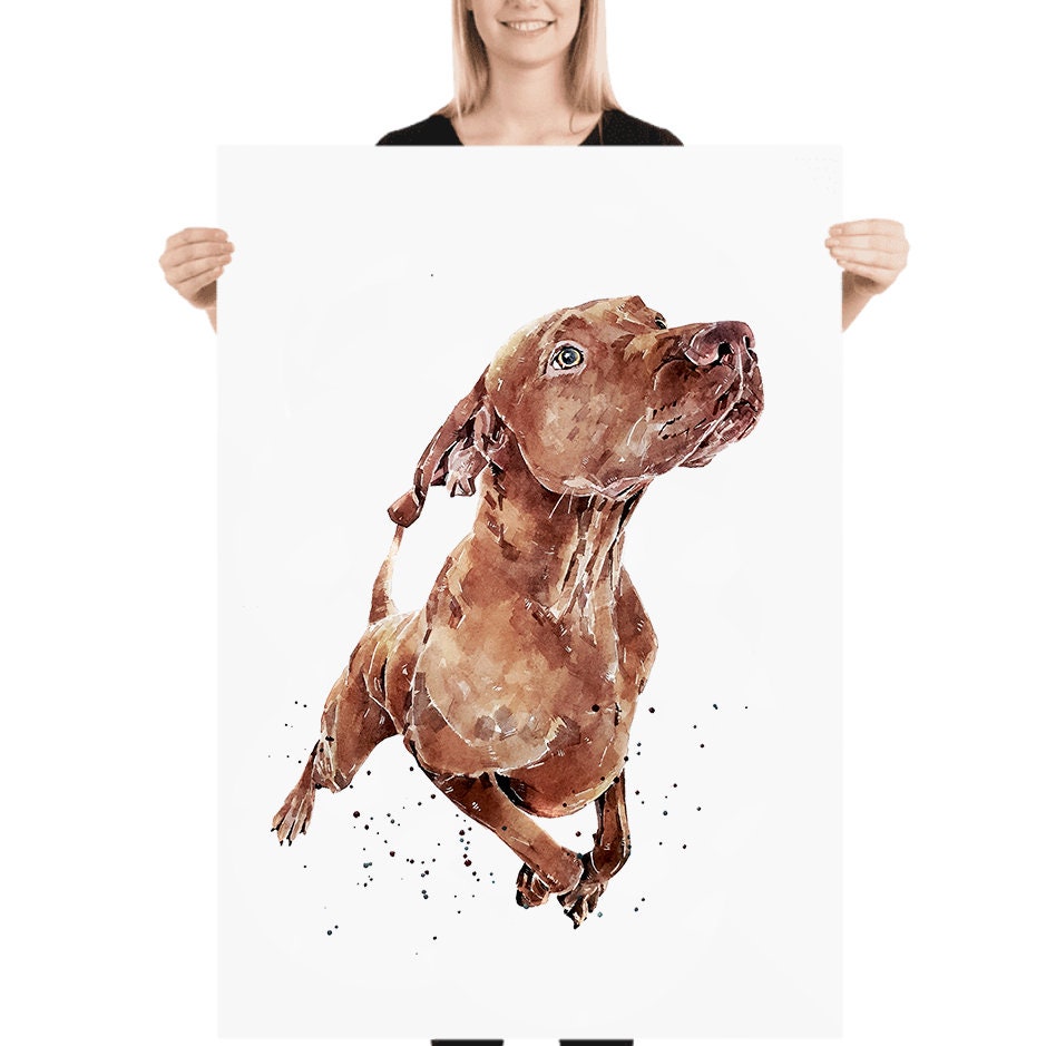 Vizsla - What's cooking?" Print Watercolour.Vizsla art,Vizsla print,Vizsla Watercolour,Vizsla Wall Decor, Vizsla Wall Hanging,Dog Art Print.