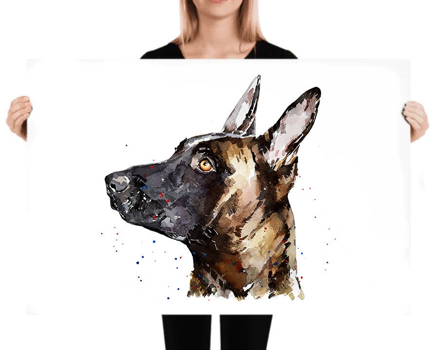 Belgian Malinois " Print Watercolour, Belgian Malinois, Belgian Malinois Art, Belgian Malinois Print,Belgian Malinois wall hanging
