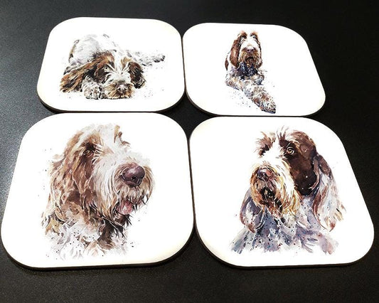 Spinone Italiano Cork Backed Coasters (Set of 4) | Dog Gift | Edswatercolours