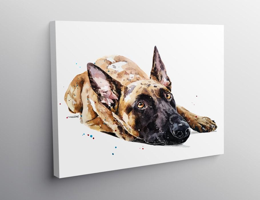 Belgian Malinois III" Print Watercolour, Belgian Malinois, Belgian Malinois Art, Belgian Malinois Print,Belgian Malinois wall hanging
