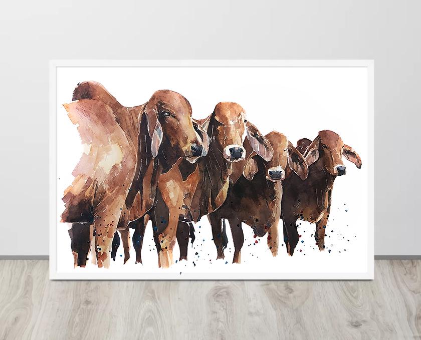 Red Brahman Cattle | Cow Lover Art Print | Edswatercolours