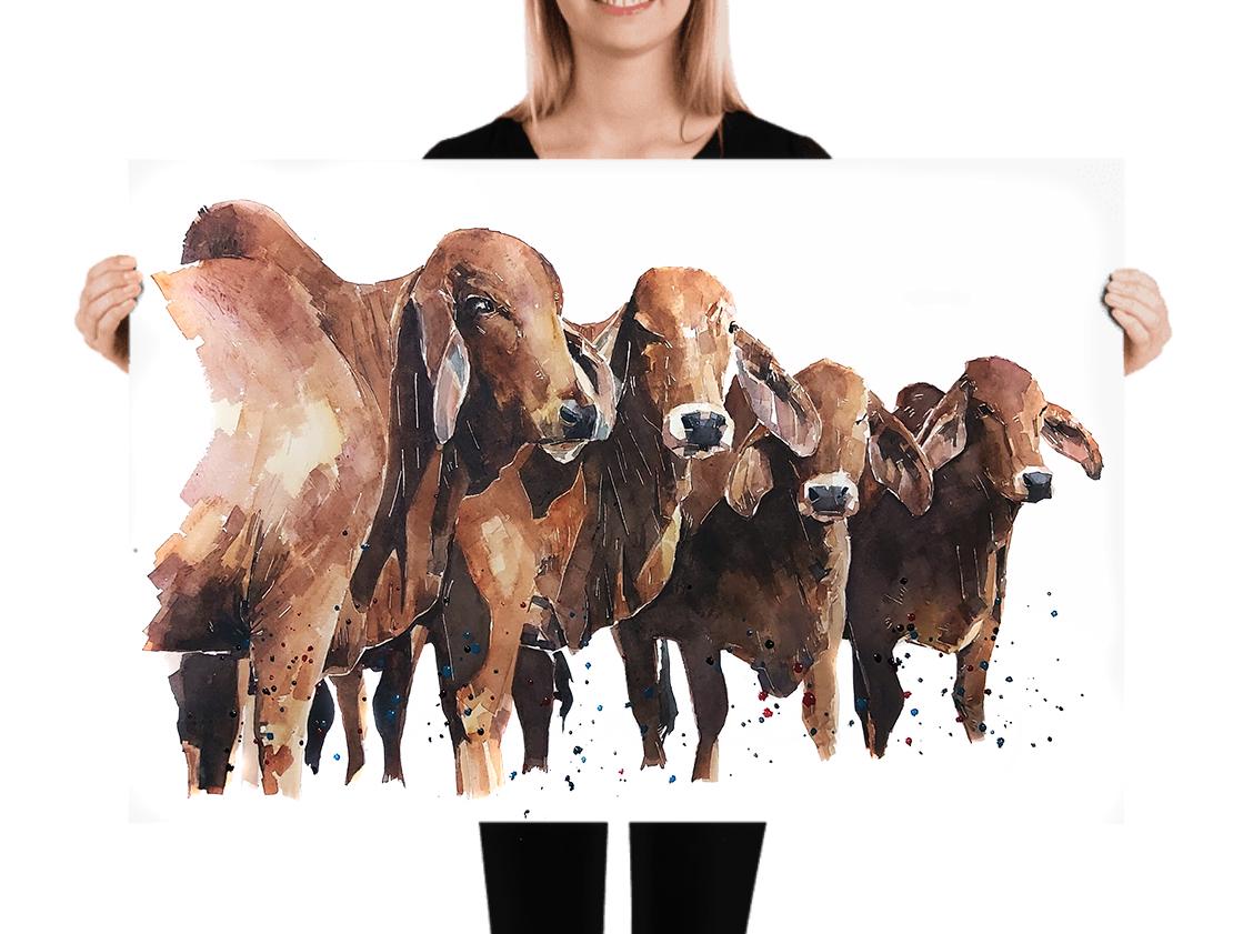 Red Brahman Cattle | Cow Lover Art Print | Edswatercolours