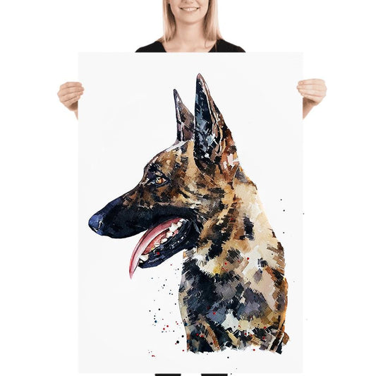 Belgian Malinois II " Print Watercolour, Belgian Malinois, Belgian Malinois Art, Belgian Malinois Print,Belgian Malinois wall hanging