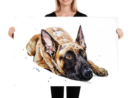 Belgian Malinois III" Print Watercolour, Belgian Malinois, Belgian Malinois Art, Belgian Malinois Print,Belgian Malinois wall hanging