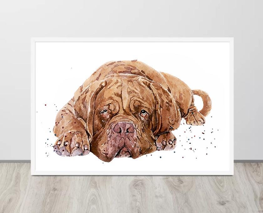 Too Cool for Drool" – Dogue de Bordeaux Watercolour Print | Framed, Unframed, or Canvas | Lazy Dog Art with Big Chill Energy