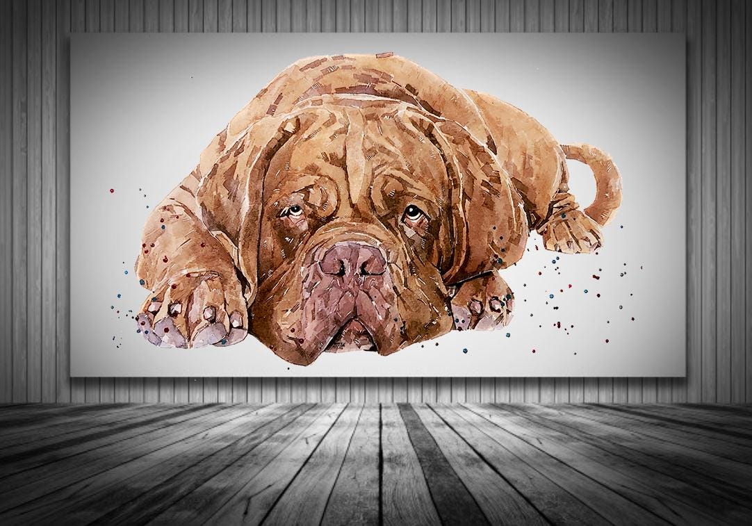 Too Cool for Drool" – Dogue de Bordeaux Watercolour Print | Framed, Unframed, or Canvas | Lazy Dog Art with Big Chill Energy