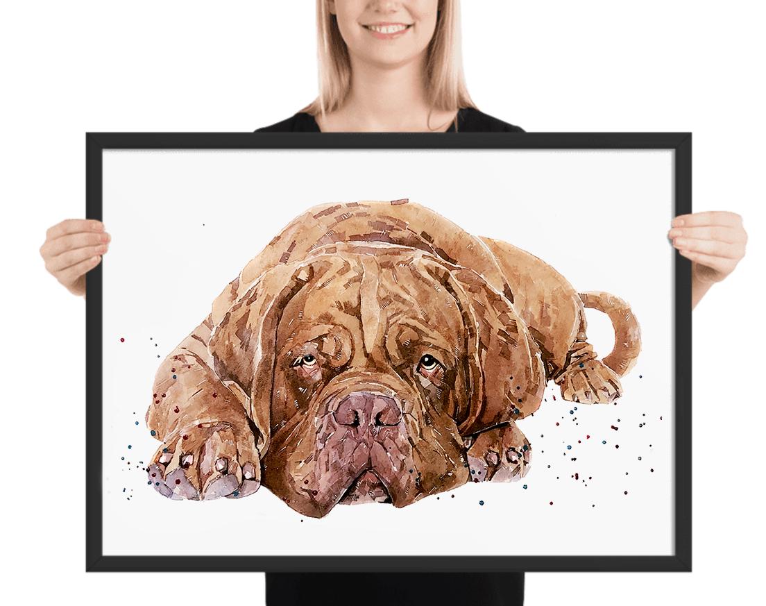 Too Cool for Drool" – Dogue de Bordeaux Watercolour Print | Framed, Unframed, or Canvas | Lazy Dog Art with Big Chill Energy