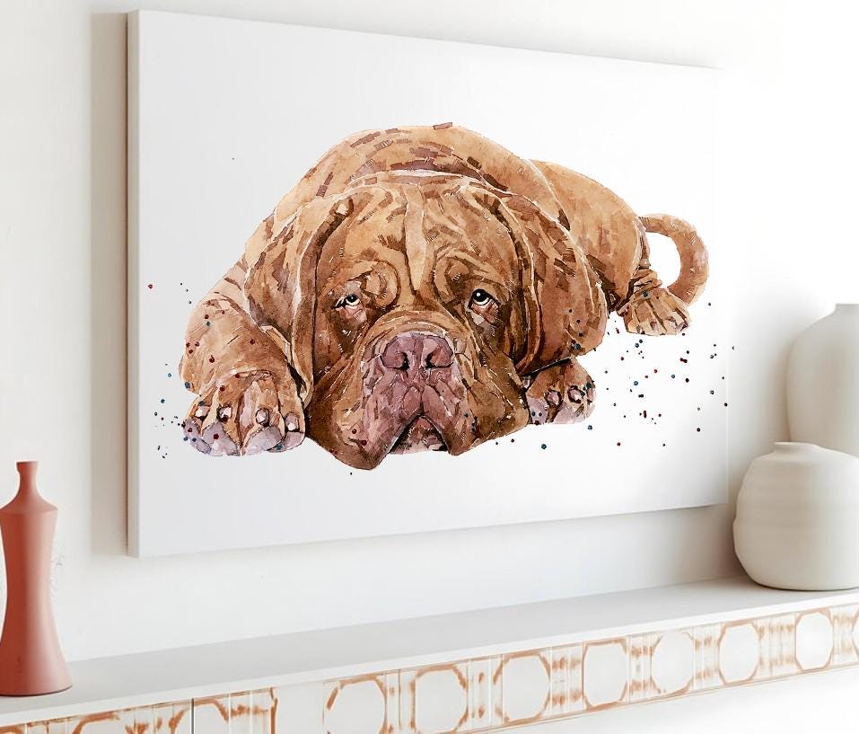 Too Cool for Drool" – Dogue de Bordeaux Watercolour Print | Framed, Unframed, or Canvas | Lazy Dog Art with Big Chill Energy