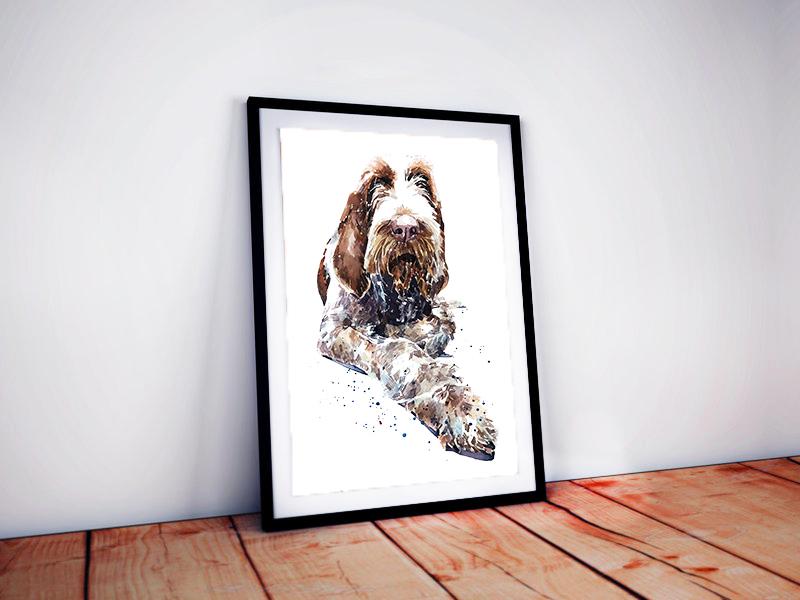 Spinone Italiano II | Original Watercolour | Dog Lover Gift | Edswatercolours