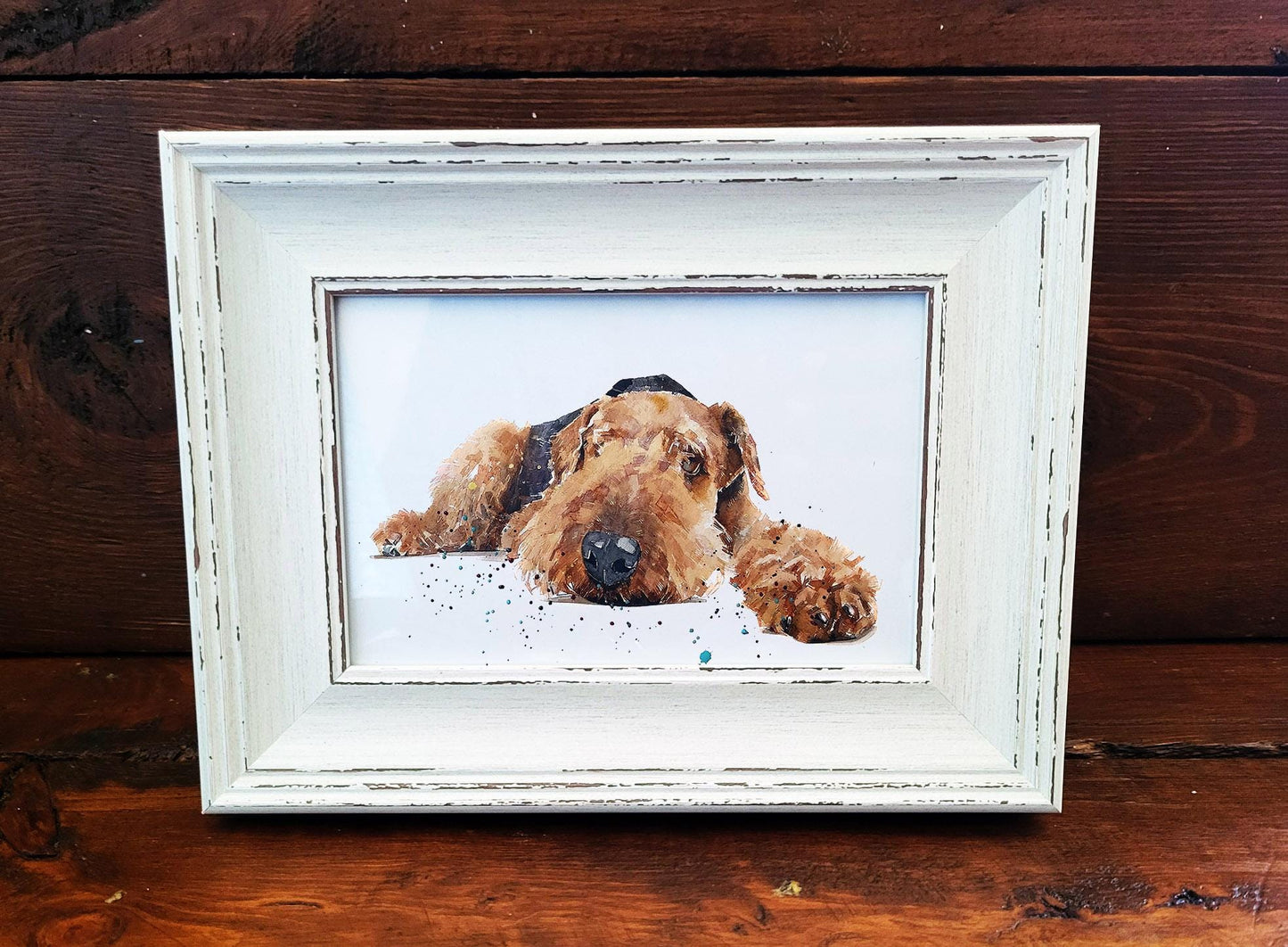 Airedale Mini Art Print – 17x12cm of White Rustic Framed Canine Class. Mini Airedale Desk Art