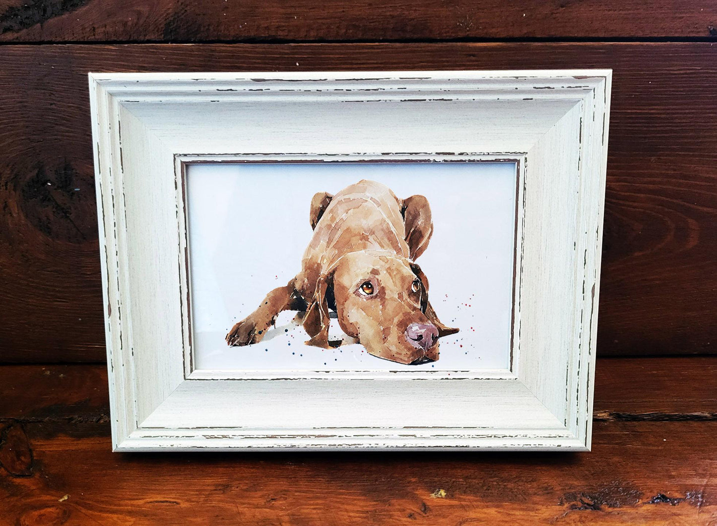 Vizsla Mini Art Print 17x12cm – Framed White Rustic Frame (Assorted) Vizsla art print framed vizsla art,vizsla dog decor,dog lover gift