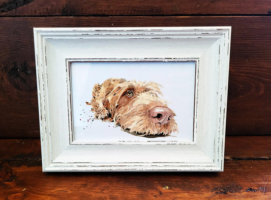 Wirehaired Vizsla Mini Art Print 17x12cm – Framed White Rustic Frame (Assorted) Wire Vizsla art print framed,vizsla dog decor,dog lover gift