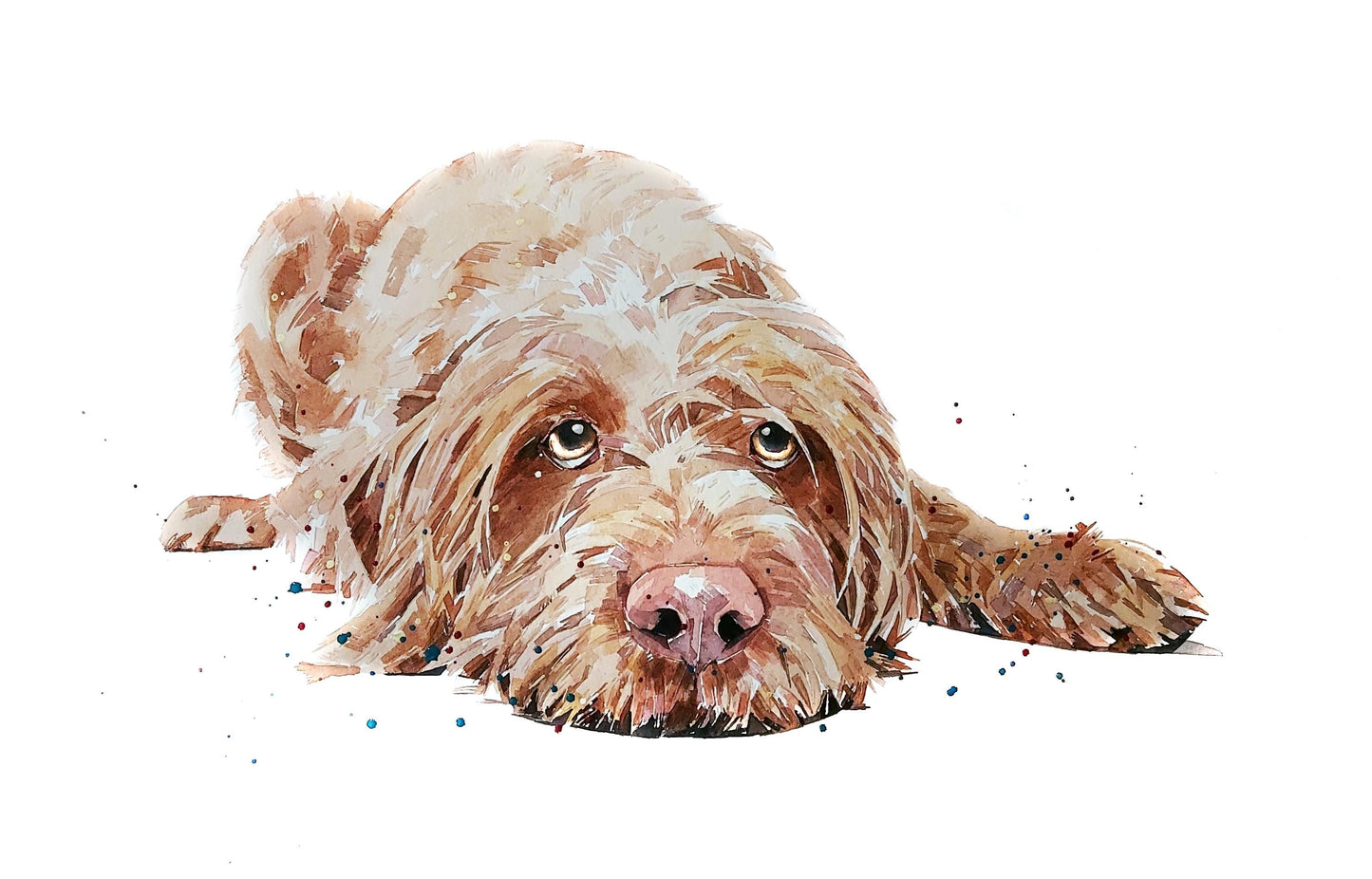 Wirehaired Vizsla Mini Art Print 17x12cm – Framed White Rustic Frame (Assorted) Wire Vizsla art print framed,vizsla dog decor,dog lover gift