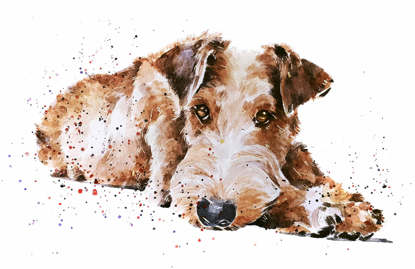 Irish Terrier Mini Art Print 17x12cm – Framed White Rustic Frame dog decor,dog lover gift,Irish Terrier gift