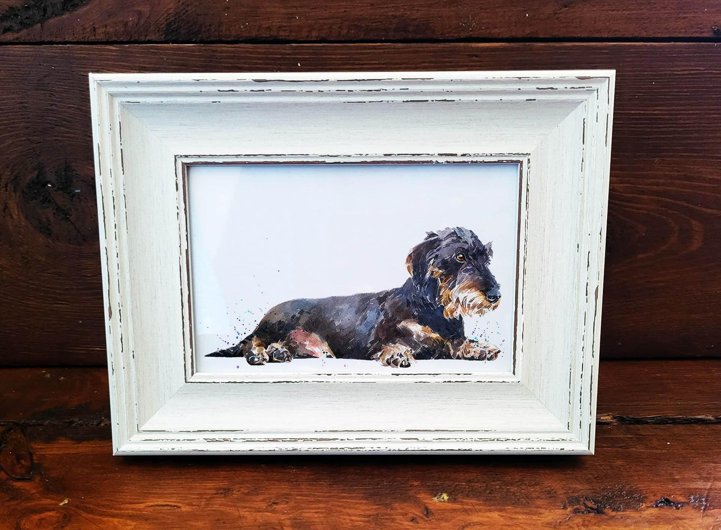 Wirehaired Dachshund Mini Art Print 17x12cm – Framed White Rustic Dog Portrait – Sausage Dog Gift, Scruffy Pup Art, Edswatercolours