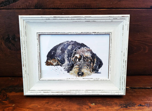 Wirehaired Dachshund Mini Art Print 17x12cm – Framed White Rustic Dog Portrait – Sausage Dog Gift, Scruffy Pup Art, Edswatercolours