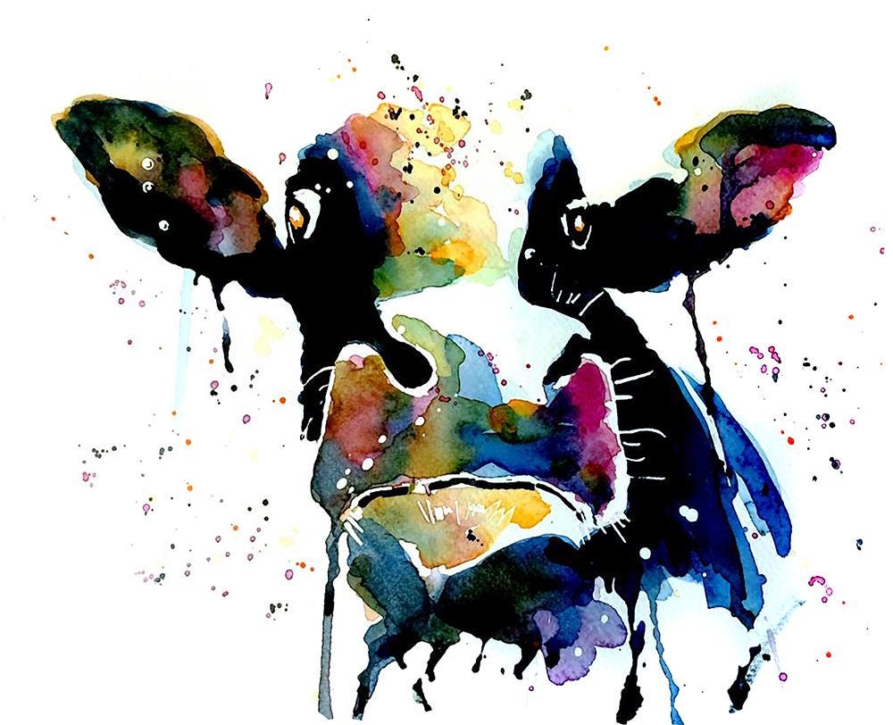 Cow Mini Art Print 17x12cm – Framed in White Rustic Frame – Farmhouse Animal Wall Art, Country Cow Decor, Edswatercolours Gift