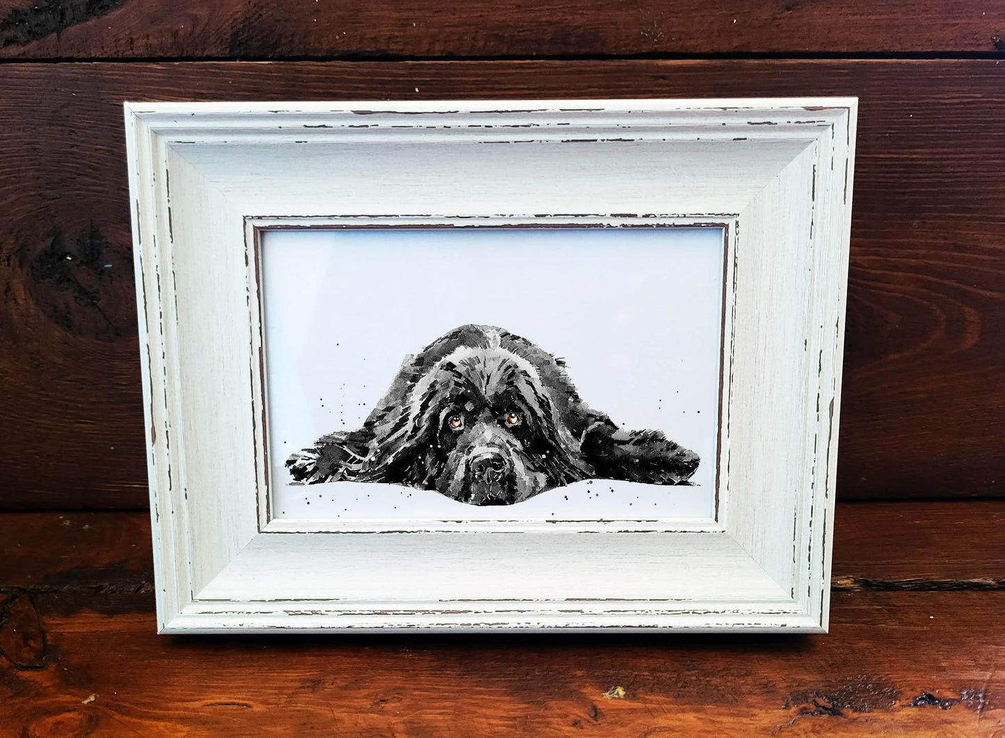 Newfoundland Dog Mini Art Print 17x12cm –Framed White Rustic Frame (Assorted) Newfie Dog art print framed,Newfie dog decor,Newfie lover gift