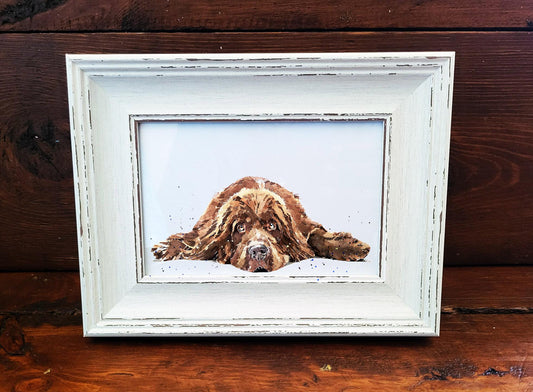 Newfoundland Dog Mini Art Print 17x12cm –Framed White Rustic Frame (Assorted) Newfie Dog art print framed,Newfie dog decor,Newfie lover gift