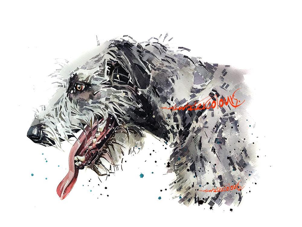 Irish Wolfhound Mini Art Print 17x12cm – Framed in White Rustic Frame – Big Dog Lover Gift, Sighthound Decor,Irish Wolfhound Artwork