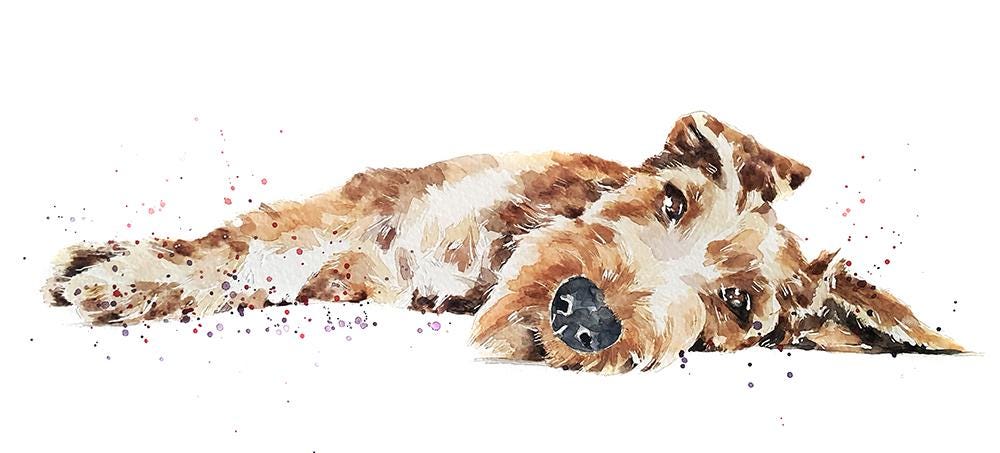Irish Terrier Mini Art Print 17x12cm – Framed White Rustic Frame dog decor,dog lover gift,Irish Terrier gift