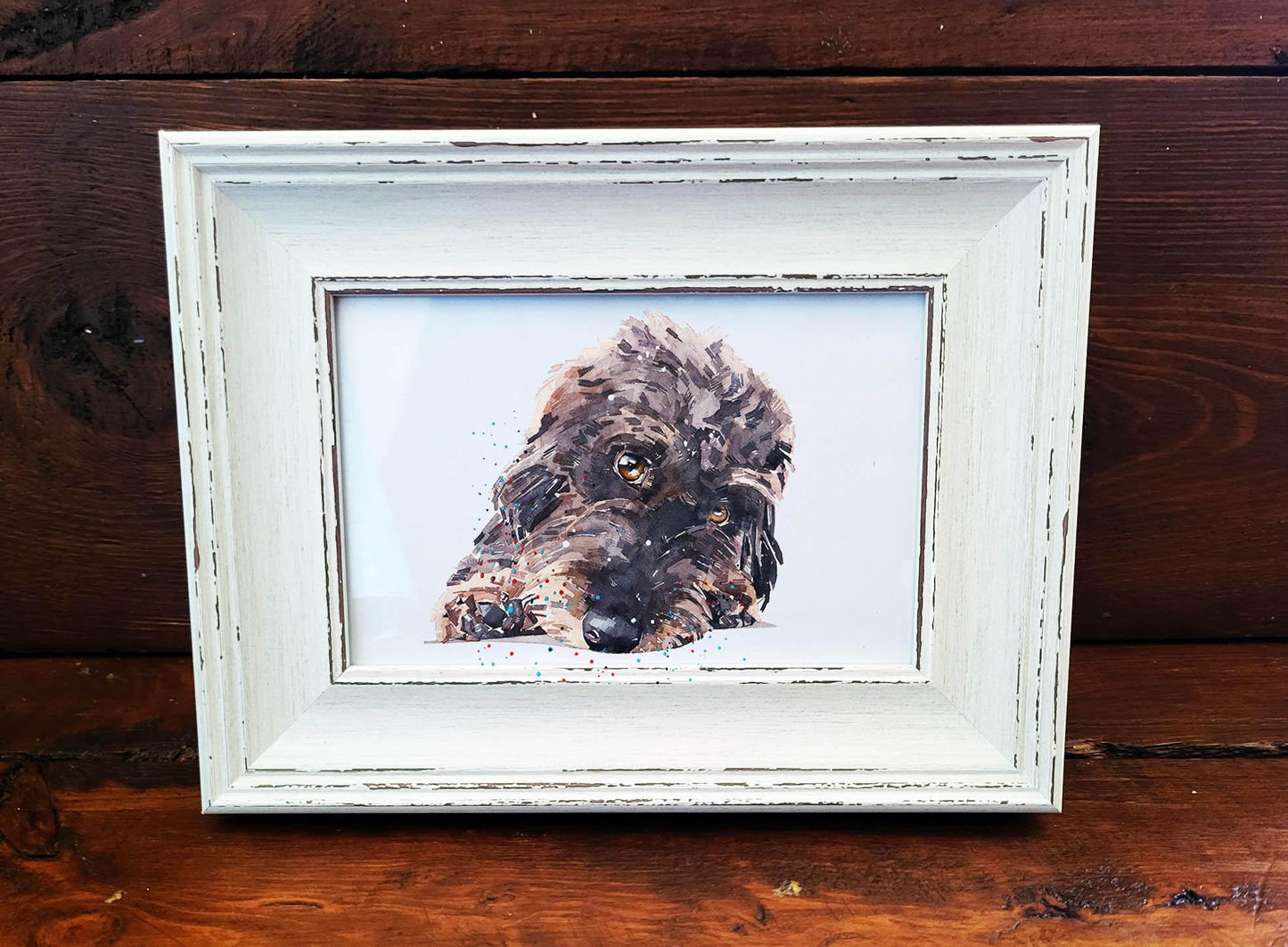 Wirehaired Dachshund Mini Art Print 17x12cm – Framed White Rustic Dog Portrait – Sausage Dog Gift, Scruffy Pup Art, Edswatercolours