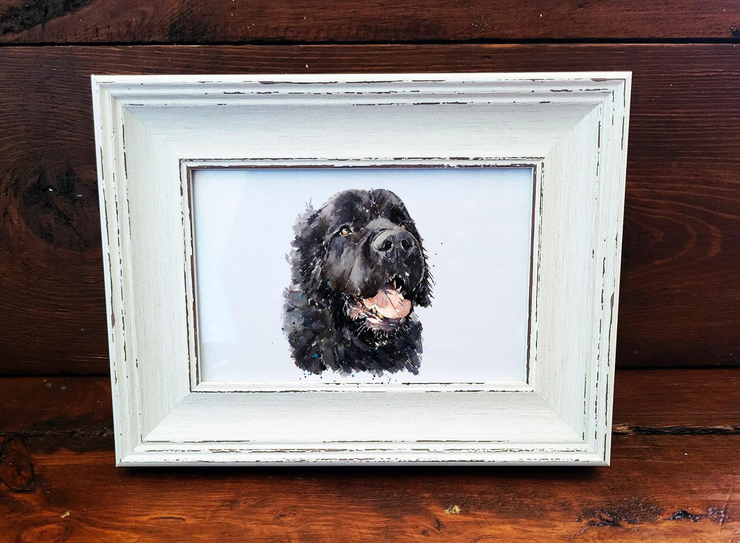 Newfoundland Dog Mini Art Print 17x12cm –Framed White Rustic Frame (Assorted) Newfie Dog art print framed,Newfie dog decor,Newfie lover gift
